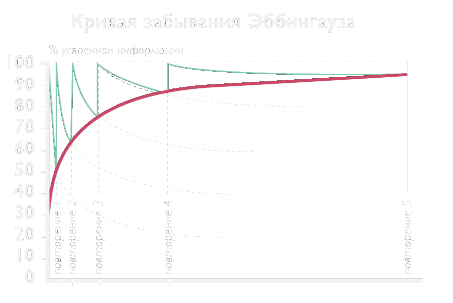Кривая запоминания